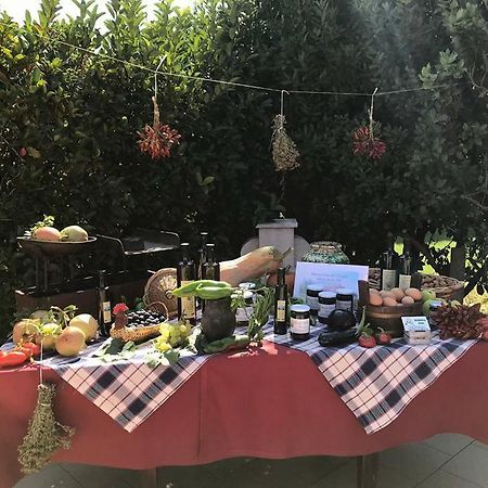 Masseria Vero Acomodação com café da manhã Palo del Colle Exterior foto