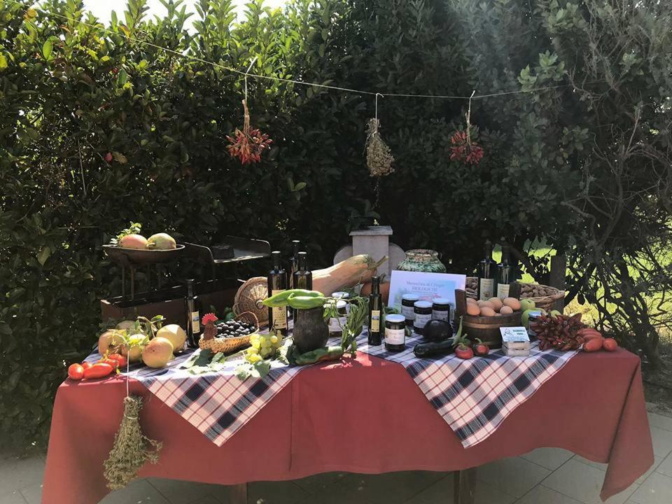 Masseria Vero Acomodação com café da manhã Palo del Colle Exterior foto